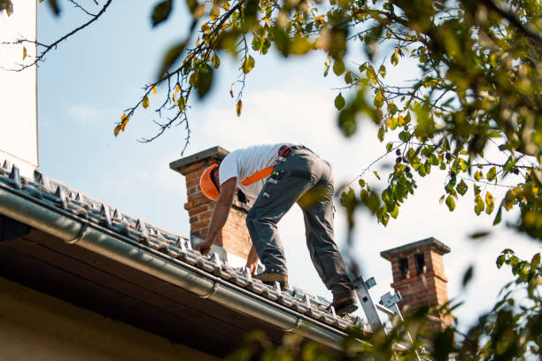 Best Gutter Installation and Repair  in Peebles, OH